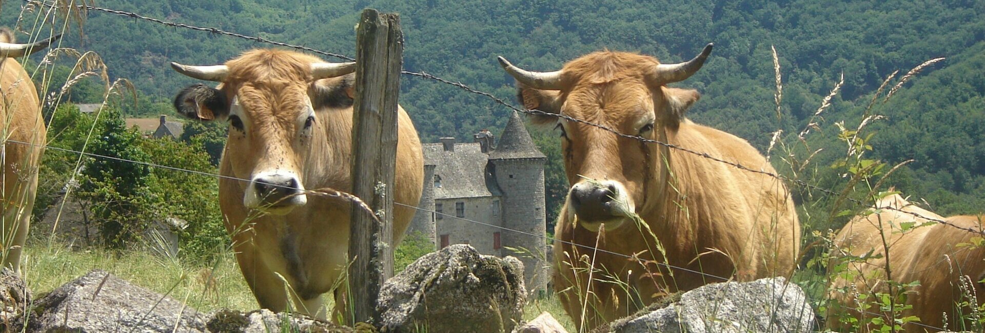 Les Sentiers de Randonnées pédestres à Sénezergues